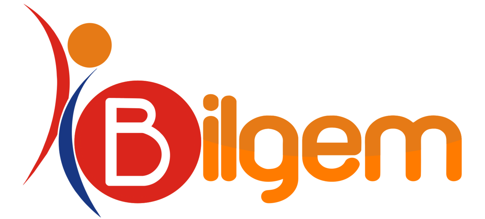 bilgem